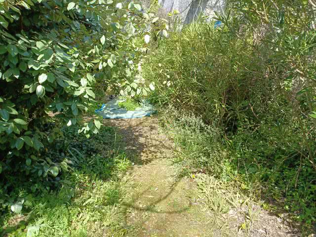 20230503 112525 resultat