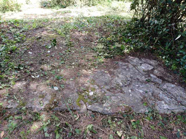 20230503 112525 resultat