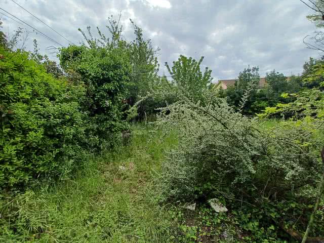 20230503 112525 resultat