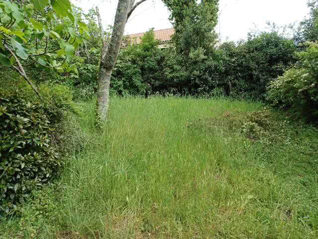 20230503 112525 resultat